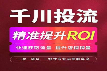 Sem优化公司案例：精准广告投放策略解析